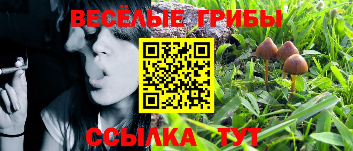Кудрово  Галлюциногенные грибы мухоморы  Вход с VPN  Псилоцибиновые грибы Cubensis 