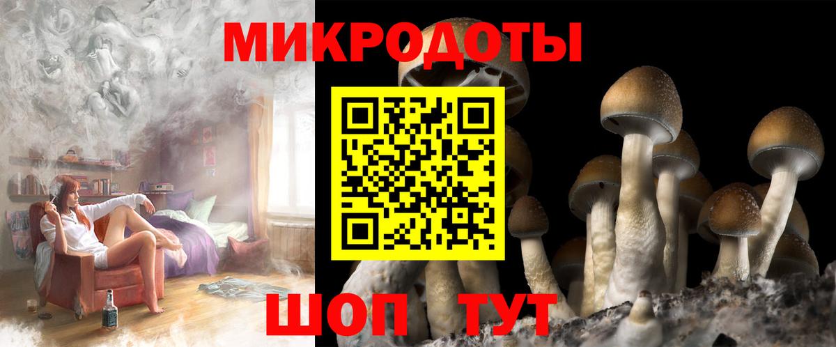 Псилоцибиновые грибы мухоморы Кудрово